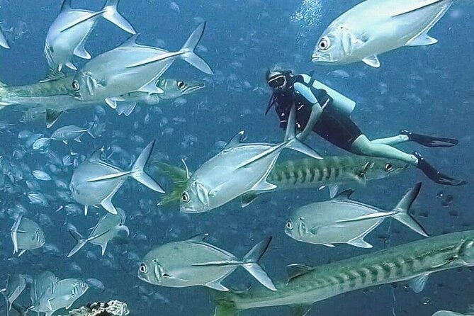 Become certified diver in 3 days - PADI Open Water Diver course on Koh Tao - The Sum Up