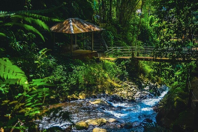 Bedugul and Singaraja Tour - FAQ