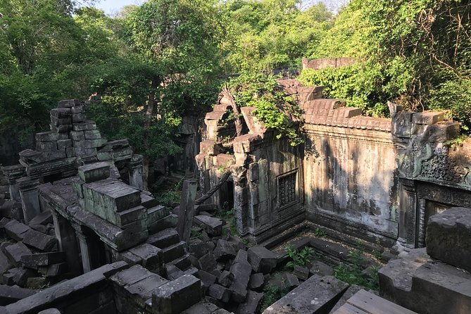 Beng Mealea Private Tour - Who Should Consider This Tour?