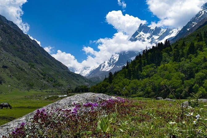 Benog Trek into the Wild - Why This Trek is a Great Choice