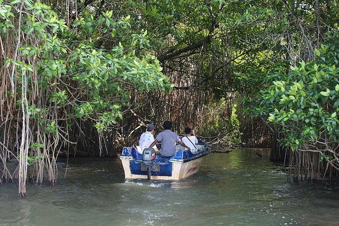 Bentota River Safari By BTM (Mangrove & Wildlife Encounter) - The Value of the Tour