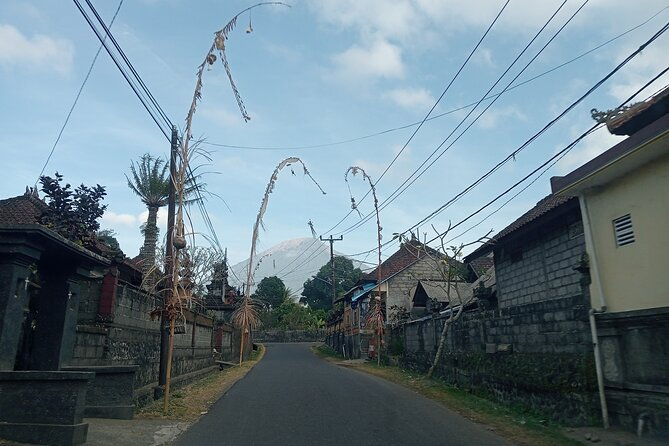Besakih Mother Temple Tukad Cepung East Bali Private Guided Tour - Authentic Insights from Reviewers