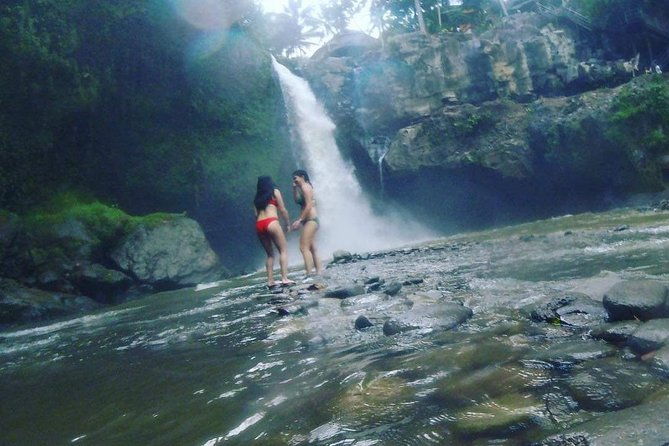 Best of Ubud Full Day Private Guided Tour - Who This Tour Is Best For