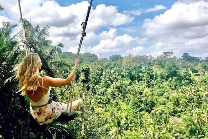 Best of Ubud Tours with Jungle Swing ( All Inclusive ) - Who Will Love This Tour