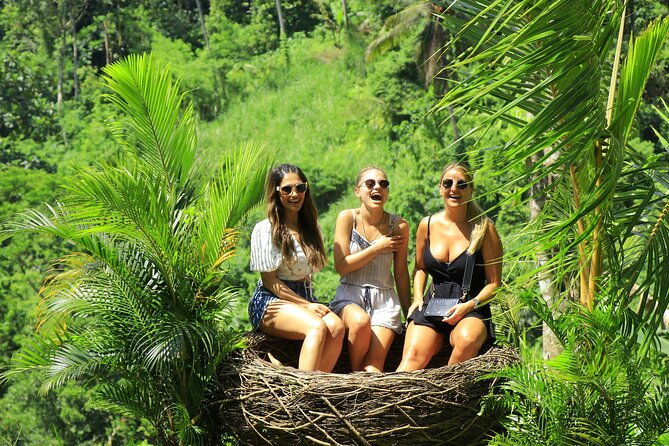 Best of Ubud Village Private Tour with Jungle Swing All Inclusive - Pricing & Value