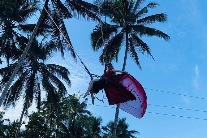 Best of Ubud with Jungle Swing Experience - Final Thoughts: Who Is This Tour Perfect For?