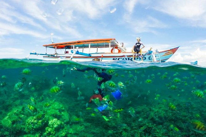 Best Snorkeling Lombok: Gili Nanggu, Gili Kedis & Gili Sudak Day-Trip - Practical Details: What You Need to Know