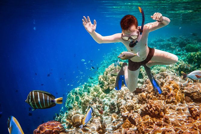 Best Snorkeling Trip at Blue Lagoon Bali - Who Is This Tour Best For?