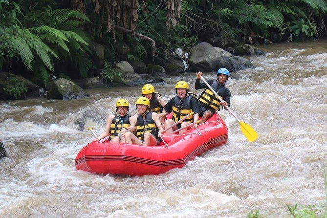 Best White Water Rafting in Bali - Who Should Book This Tour?