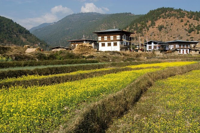 Bhutan Vacation (5 Nights-6 Days) - FAQs