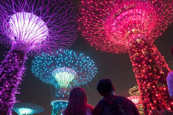 Big Bus Singapore Night Tour with Gardens by the Bay Light Show - The Experience - What Travelers Say