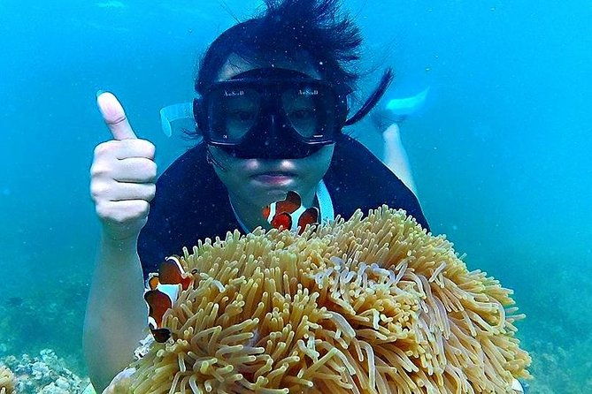 Bintan Snorkeling Tour - Final Thoughts on the Bintan Snorkeling Tour