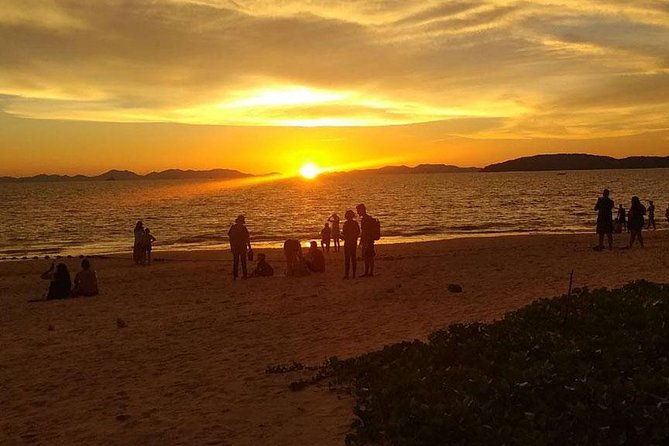 Bio Luminescent Swimming From Krabi - The Pros and Cons Based on Reviews