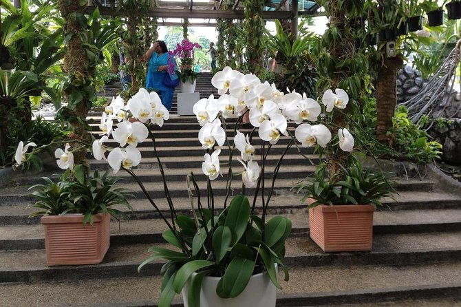 Bird Park & Butterfly Farm Nature Include All Entrance Tour From Kuala Lumpur - Frequently Asked Questions