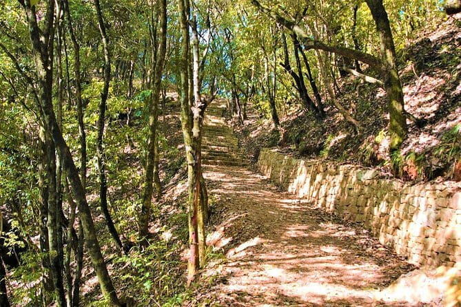 Birding Hike: Day Birdwatching in Kathmandu - The Value of the Experience
