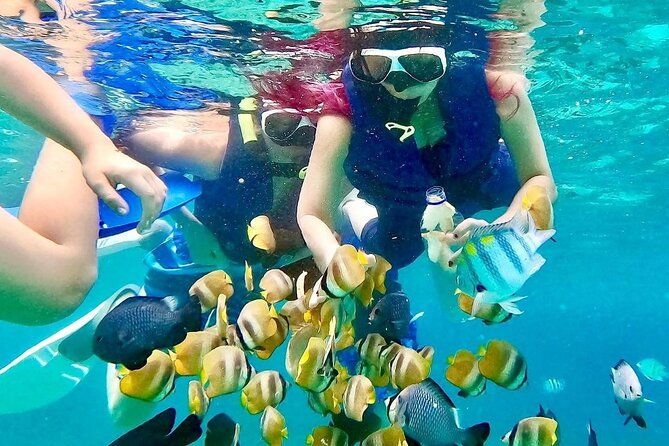 Blue lagoon and tanjung jepun snorkling all inclusive - Practicalities: What You Need to Know