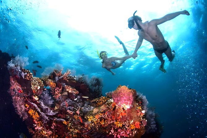 Blue Lagoon Snorkeling - Bali Best Snorkeling Site - Why This Tour Is Worth Considering