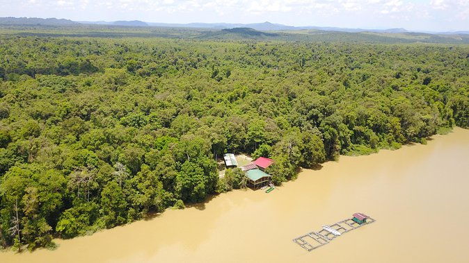 Borneo Wildlife Tour 3 Days 2 Nights At Tanjung Bulat Jungle Camp Kinabatangan - How Does the Tour Value for Money?