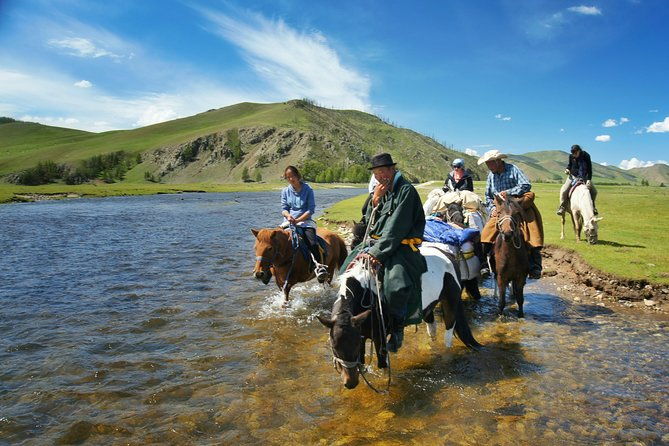 Brief Introduction to Mongol Horse - FAQs