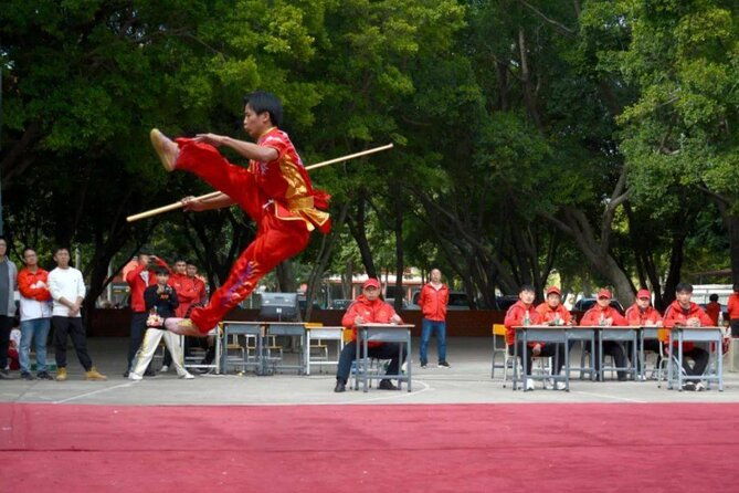 Bruce Lee Hometown Martial Art Culture Lion Dance Private Tour - Exploring the Ancient and Artistic Corners of Foshan