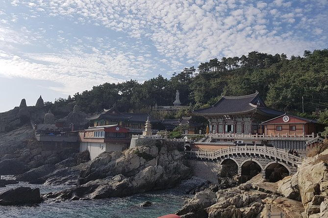 Busan and Gyeongju 2 days Tour from Seoul by KTX Bullet Train - The Sum Up: Who Will Love This Tour?