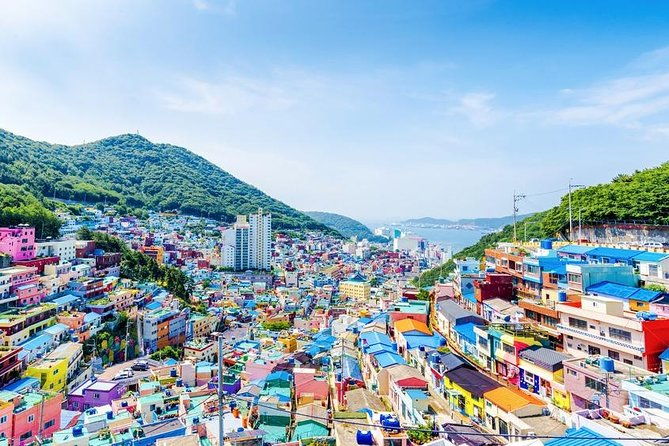 Busan: Fully Customizable Private Tour - Is This Tour Worth the Price?