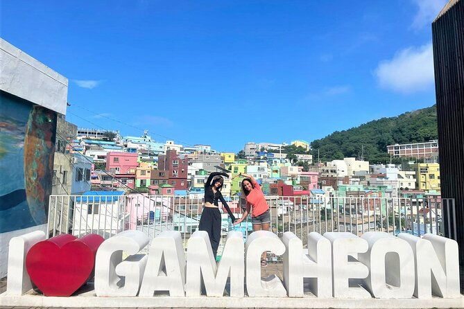 Busan Private Tour with licensed tour guide + private vehicle - Who Should Consider This Tour?