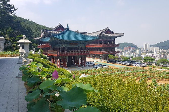 Busan Shore Excursion Tour with Gamcheon Culture Village - The Sum Up