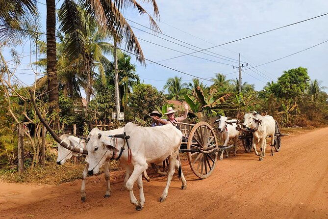 Cambodian Cooking Class and Oxcart Ride with Local Village Tour - Who Will Love This Tour?