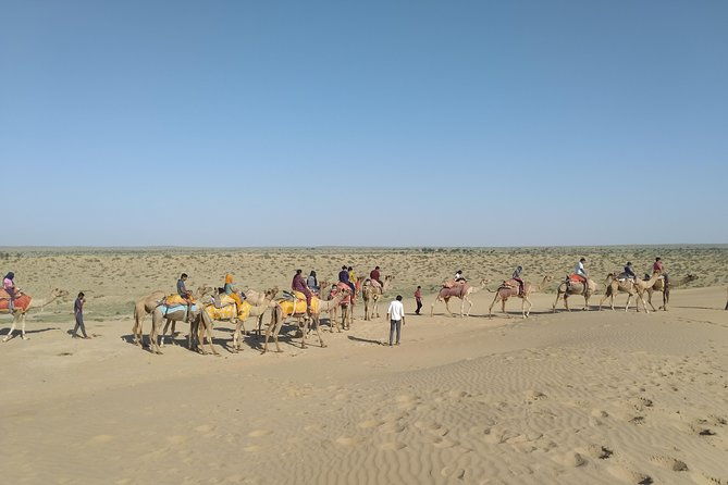 Camel Safari - What Makes This Camel Safari Special?