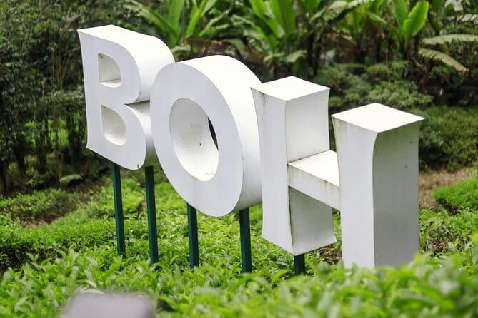 Cameron Highlands Private Day Tour from Ipoh, Package B - FAQs