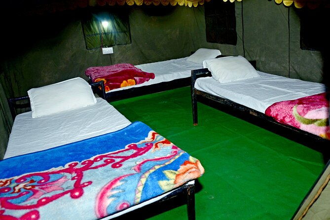 Camping in Rishikesh - 1N 2D - Evening Vibes: Bonfire and Music