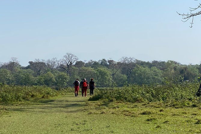 Canoeing and Nature Walk in Chitwan National Park - Practical Tips for Future Travelers