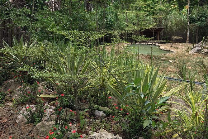 Cebu Safari and Adventure Park - Frequently Asked Questions