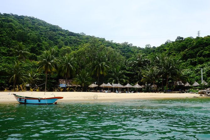 Cham Islands Snorkeling Tour by SpeedBoat from Da Nang - Who Is This Tour Best For?