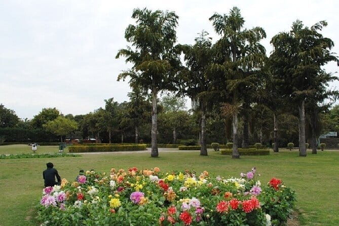 Chandigarh Private Full Day Tour - Why This Tour Works for You