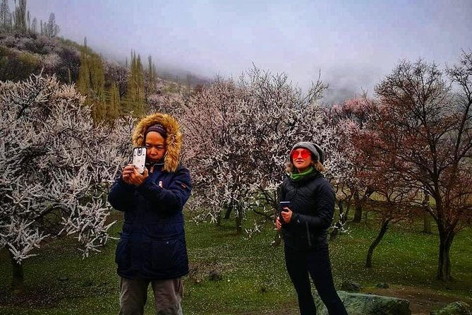 Cherry Blossoms Trip to Northern Areas of Pakistan 2020 (8D 7N) - What We Think About the Experience