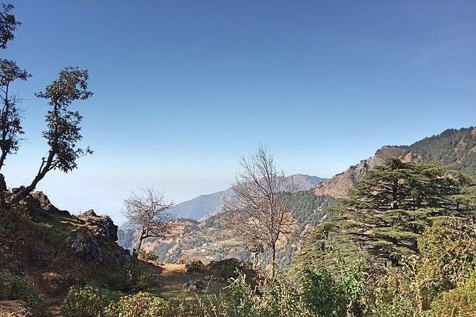 Chhaskhet Nature Walk - Authenticity, Guides, and Local Insights