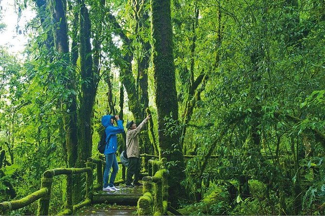 Chiang Mai: Doi Inthanon National Park, Waterfall & Royal Project - Additional Highlights and Practicalities