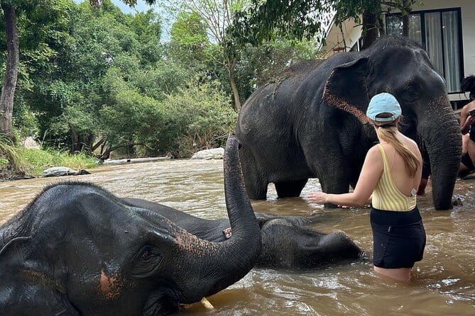 Chiang Mai Half Day Elephant Sanctuary Observation and Waterfall - Who Is This Tour Best For?