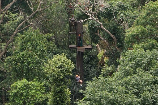 Chiang Mai Zip Line Experience - Who Should Book This?