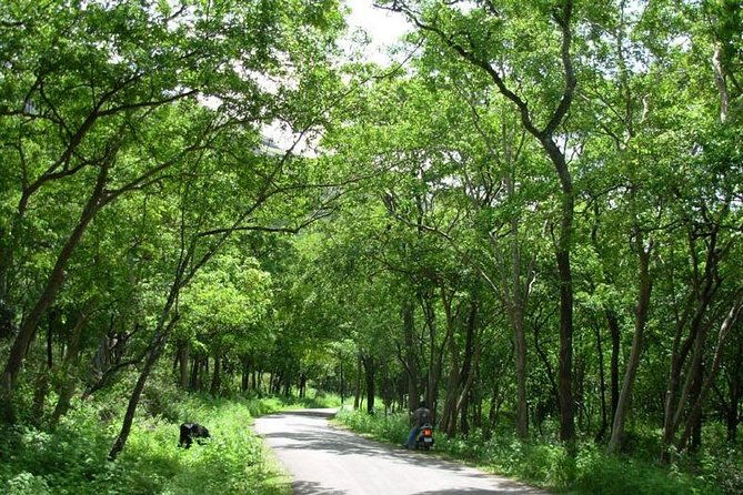 Chinnar Wild-life Visiting Tour (Eravikulam National Park) - Authentic Experiences & What Travelers Say