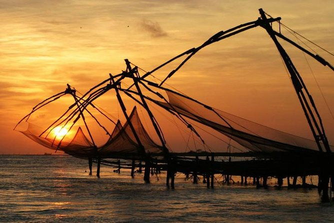 Cochin Shore Excursions from Cruise Terminal - Who Should Book This Tour?