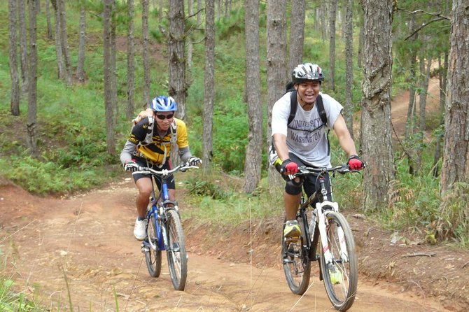 Crazy 8 Mountain Bike Tour from Dalat - Who This Tour is Perfect For