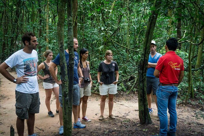 Cu Chi Tunnels Half-Day Tour: Vietnam War Underground Network - The Balance of Value and Cost