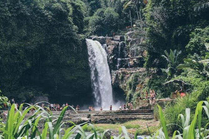 Custom Day Trip in Bali - What the Reviews Say
