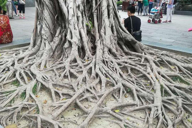 Customised Private Guangzhou City Tour with Flexible Itinerary - Who Should Consider This Tour?