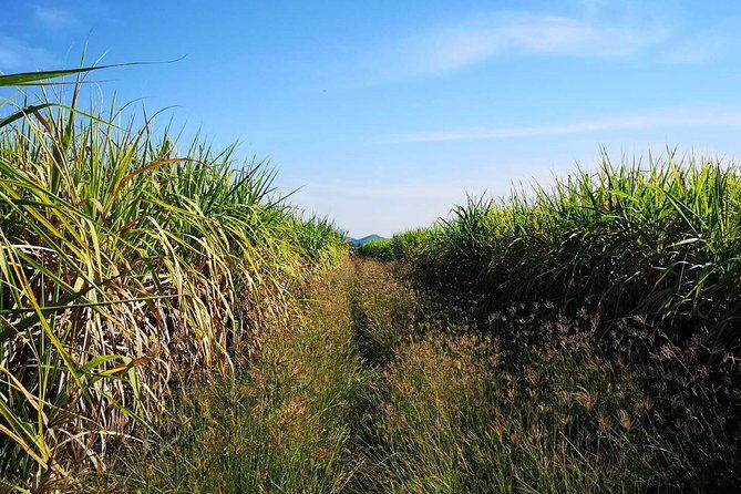 Cycling in rural Kanchanaburi area - Practical Details: What You Need to Know
