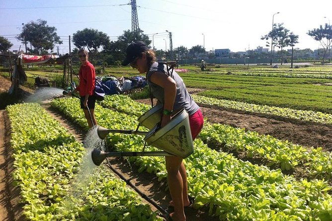 Da Nang Home Cooking Class - Who Should Book This Experience?