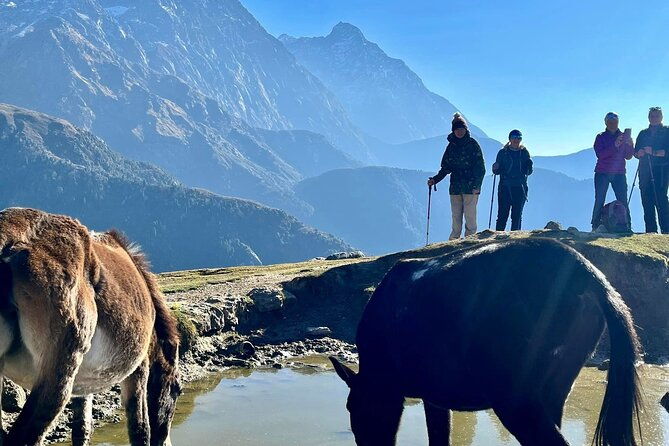 Dalai Lama Himalayan Trek - FAQ